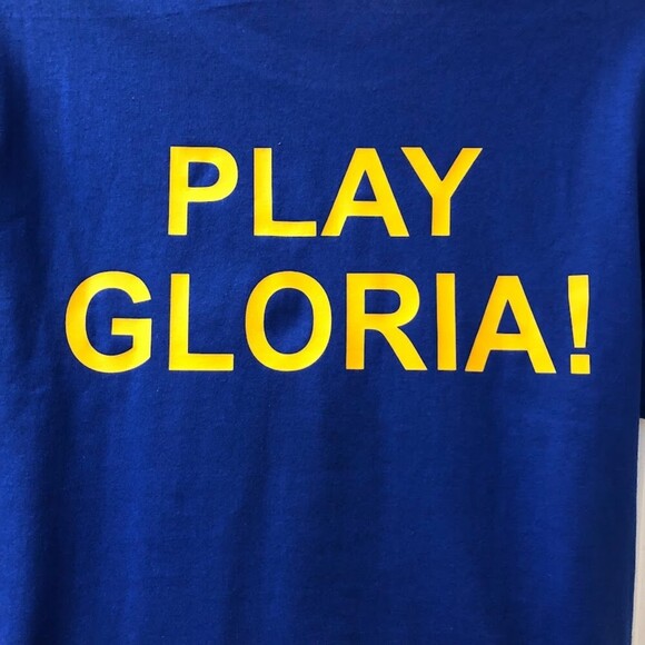 NHL St. Louis Blues Graphic Tshirt Medium Play Gloria Hockey Hanes - Picture 6 of 9